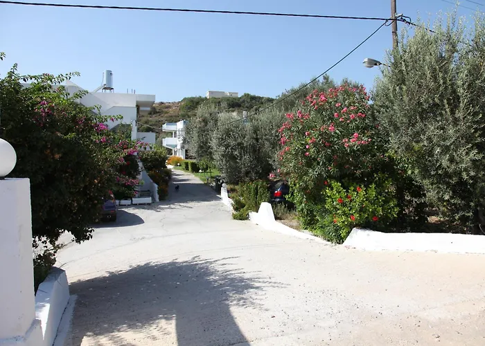 Hotel Despina Afandu